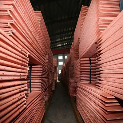 Kupfer JIS ASTM B152M Copper Plate Sheet überzog Blech 2500mm